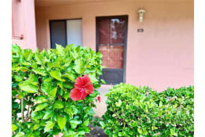 141 Lakeside Dr, OLDSMAR