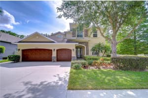 3323 Anna George Dr, VALRICO