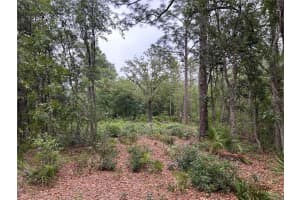 S Slash Pine Ave, HOMOSASSA