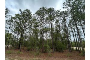 0 Mellon Rd, WEEKI WACHEE