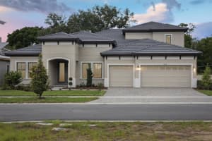4630 Cedar Fog Ct Dr, VALRICO