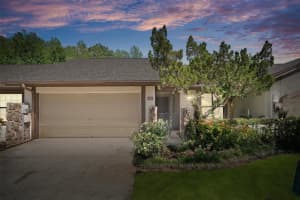 3923 Shoreside Cir, TAMPA