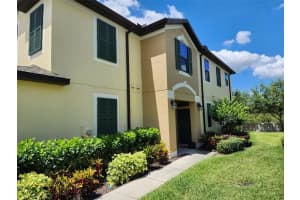 11512 Crowned Sparrow Ln, TAMPA