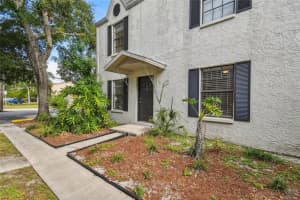 3810 W Cleveland St #a, TAMPA