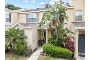 6249 Osprey Lake Cir, RIVERVIEW