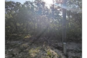 19036 Retriever Rd, BROOKSVILLE