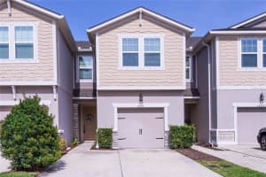 14245 Damselfly Dr, TAMPA