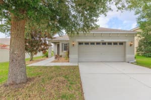 17843 Cunningham Ct, LAND O LAKES