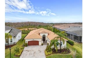 30715 Tumbleberry St, WESLEY CHAPEL