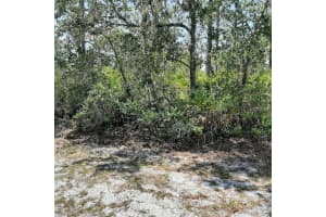 211 Camellia Dr, INDIAN LAKE ESTATES