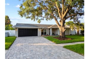 3925 Dunaire Dr, VALRICO