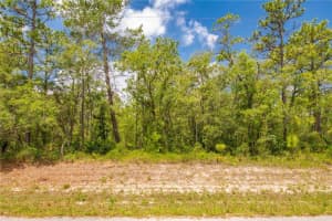 0 Mount Sparrow Rd, WEEKI WACHEE