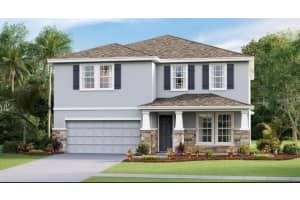 13154 Brookside Moss Dr, RIVERVIEW