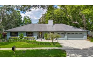 1014 Sylvia Ln, TAMPA