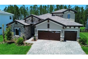 35335 Big Hawk Dr, ZEPHYRHILLS
