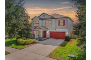 11802 Twilight Darner Pl, RIVERVIEW