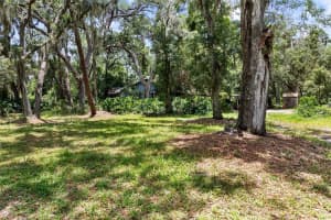 3703 Lithia Pinecrest Rd, VALRICO