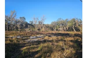 359 Savannah Oaks Dr, BROOKSVILLE
