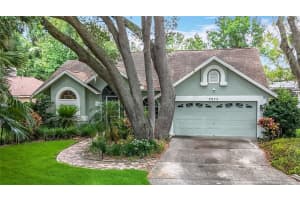 2973 Spring Oak Ct, PALM HARBOR