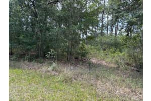 213 Plumosa Dr, INDIAN LAKE ESTATES