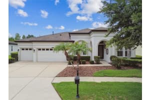 8413 Swiss Chard Cir, LAND O LAKES