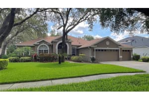5704 Eaglemount Cir, LITHIA