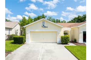 21209 Diamonte Dr, LAND O LAKES