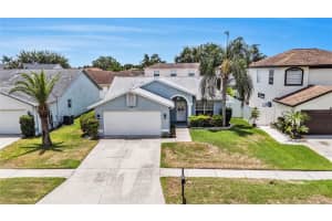 11222 Clayridge Dr, TAMPA