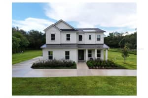 2890 Alexandria Marie Ln, LUTZ