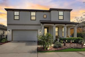 5843 Silver Sun Dr, APOLLO BEACH