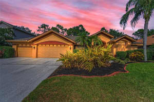 4133 Auston Way, PALM HARBOR