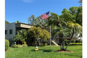 3300 Fox Chase Cir N #229, PALM HARBOR