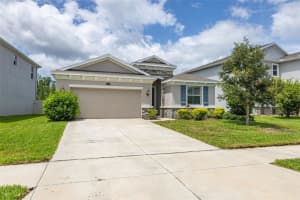 2898 Living Coral Dr, ODESSA