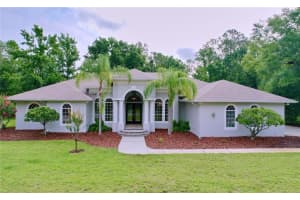 27511 Hialeah Way, WESLEY CHAPEL