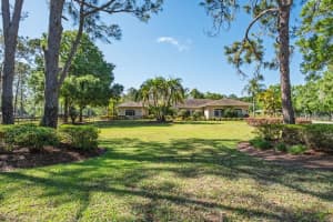 3452 Forelock Rd, TARPON SPRINGS