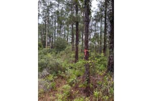 109 Japonica Ave, INDIAN LAKE ESTATES