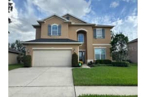 7515 Atwood Dr, WESLEY CHAPEL