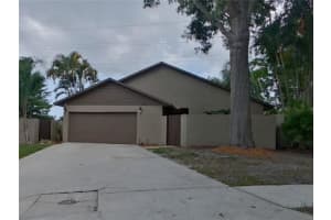 664 Channing Dr, PALM HARBOR