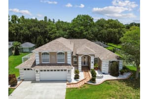 1460 Kensington Woods Dr, LUTZ