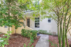 962 Sombra St, TAMPA