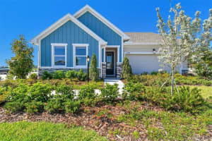 11313 Hardwood Hammock Ln, RIVERVIEW