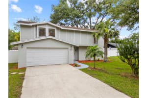 4509 Grainary Ave, TAMPA