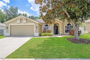 4531 River Overlook Dr, VALRICO