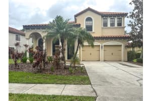 20318 Chestnut Grove Dr, TAMPA