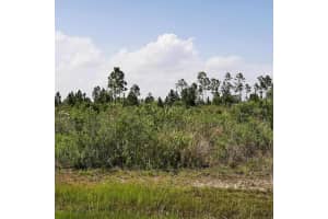 414 Calendula Dr, INDIAN LAKE ESTATES