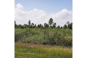 412 Calendula Dr, INDIAN LAKE ESTATES