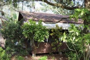 260 Orange St, PALM HARBOR
