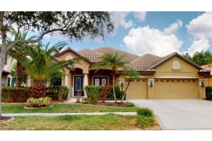 20023 Pergola Bend Ln, TAMPA 20023 Pergola Bend Ln, TAMPA