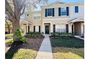 15833 Fishhawk Falls Dr, LITHIA