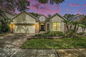 17910 Timber View St, TAMPA